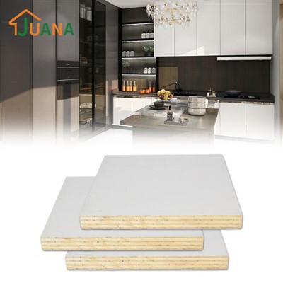 פאנל דלת ארון EV מלא